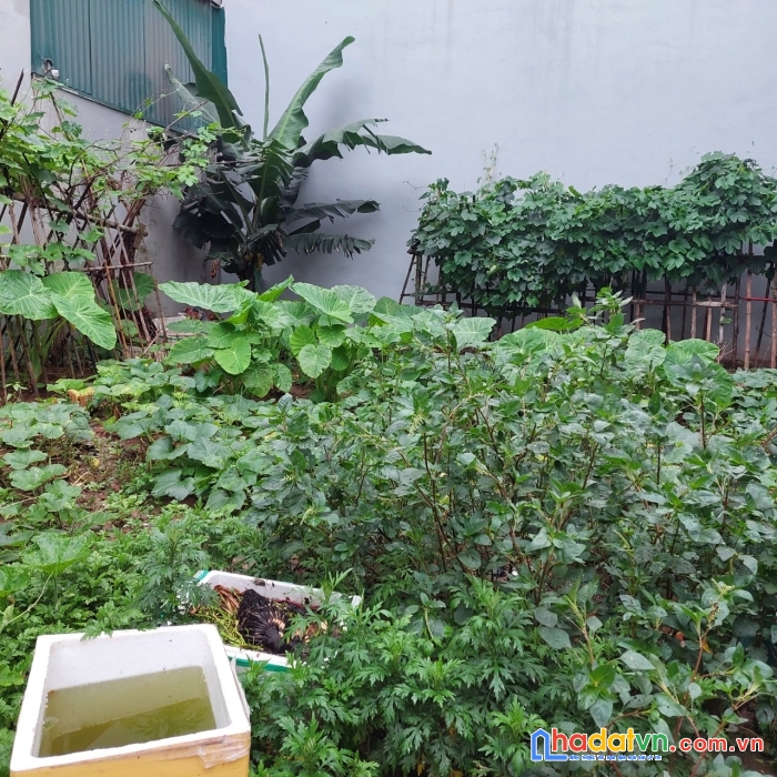 Đất thạch bàn long biên ngõ 68 nguyễn văn linh nhỉnh 7 tỷ