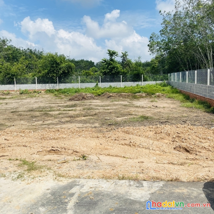  cần bán đất tây ninh  gấp ngay và luôn