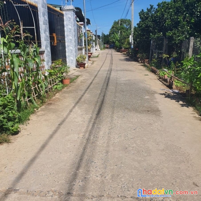 Làng bưởi tân triều - vĩnh cửu - đồng nai.