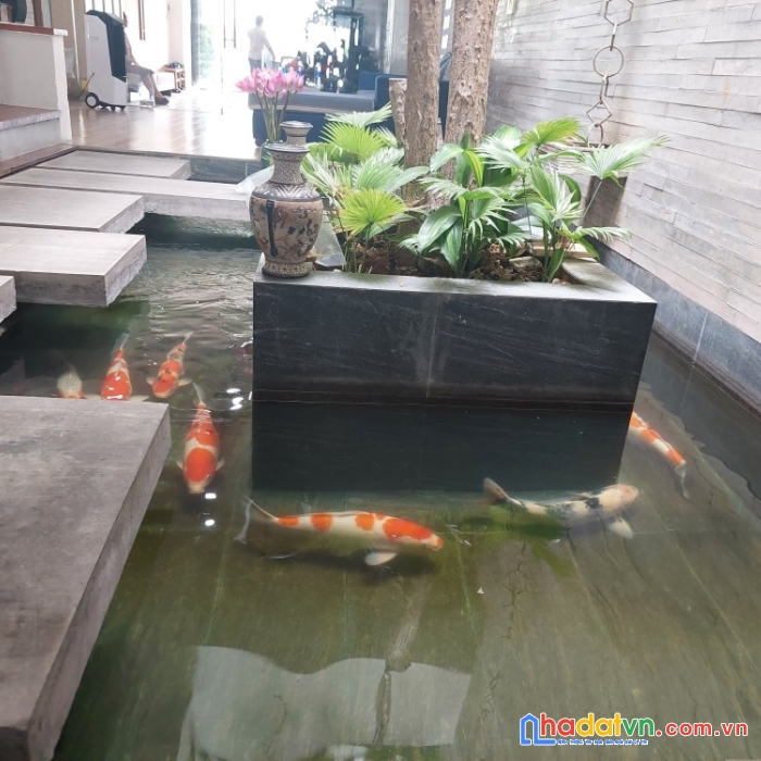 Bán nhà đẹp giá rẻ nguyễn hữu thọ, hải châu, 4t, 170m2, 19.2 tỷ