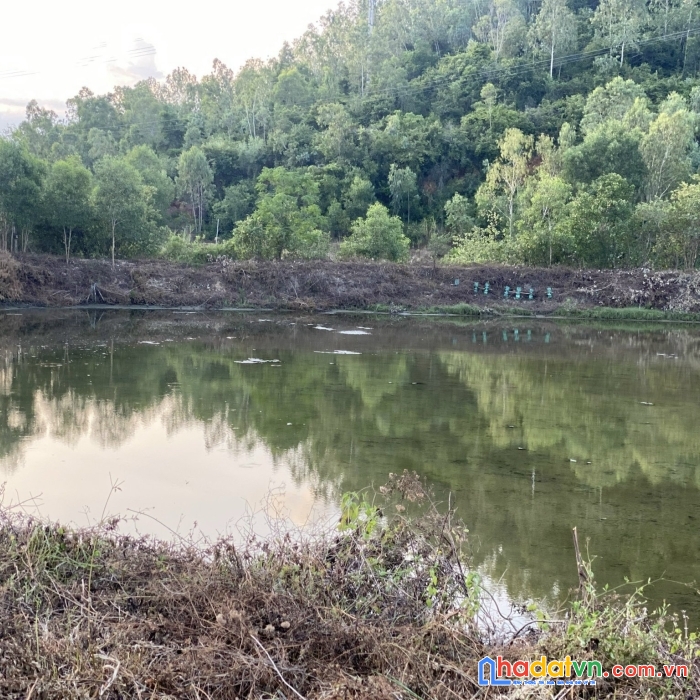 Cần bán lô đất mặt đường đẹp quốc lộ 1a tại xã xuân bình- sông cầu phú yên