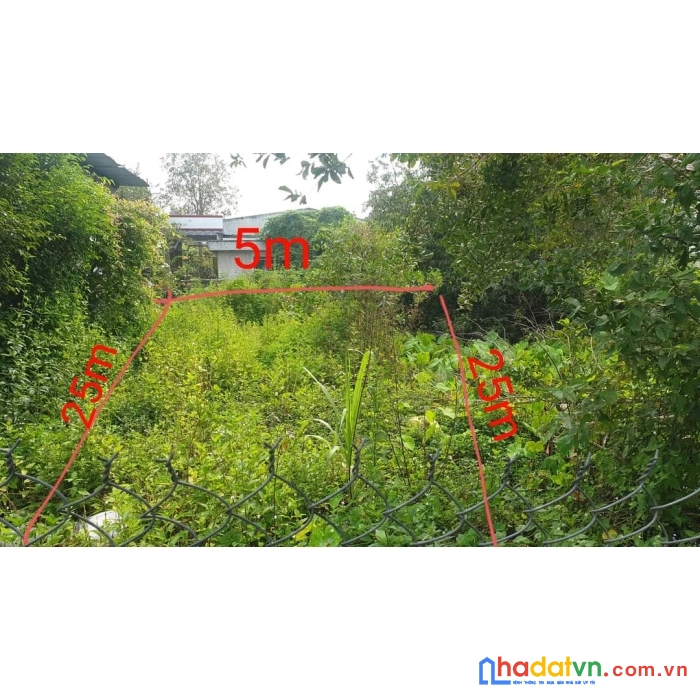 Chính chủ cần bán đất thổ cư 125m2 sát cột mốc giữa bình chánh và long an