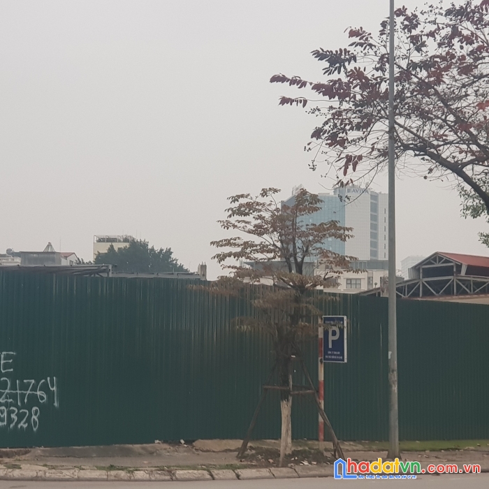 Bán 300m2 đất thổ cư 100% lô góc mặt phố trần thái tông cầu giấy.