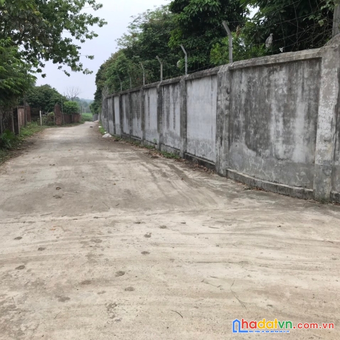 Chính chủ cần bá 2427m đất lập thành, đông xuân, quốc oai, giá chỉ hơn 4tr/m2