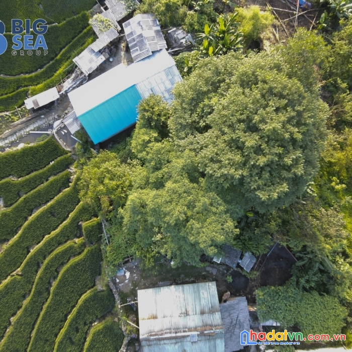 Đất nền y tý ( sapa2 ) mảnh đất nằm cạnh tt xã y tý . đón sóng quy hoạch khu đô thị du lịch .