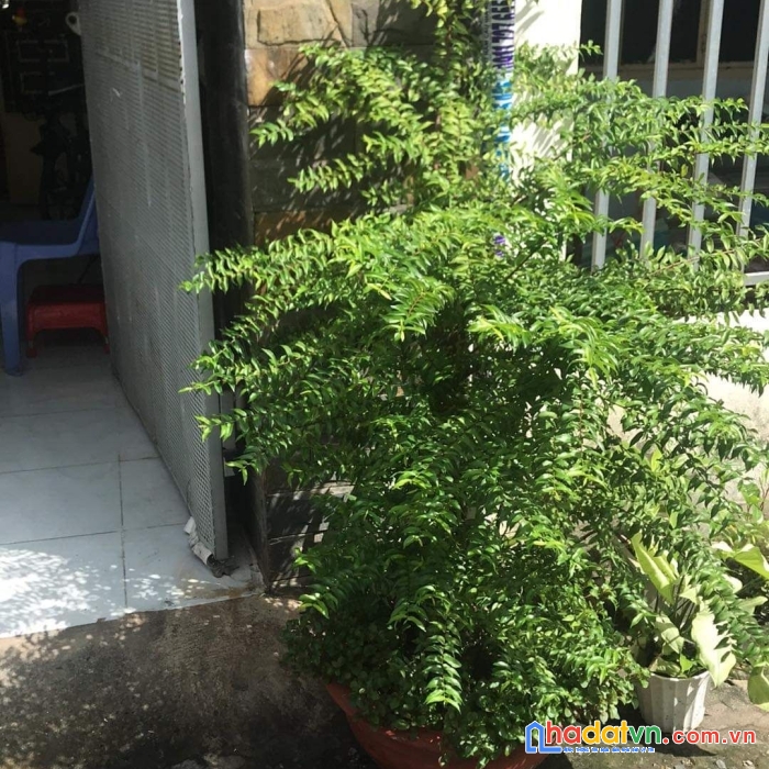 Bán nhà cấp 4, đường số 1 ngay cầu vượt linh xuân, dt đất 71m2, hxh 4m. giá 3.3 tỷ