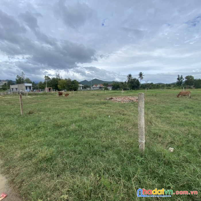 Cần bán đất thổ cư vị trí đẹp giá rẻ hấp dẫn tại khánh hòa