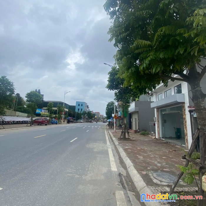 Bán đất mặt phố ỷ lan, gia lâm, dt 100m đất mt6m, mảnh siêu hiếm