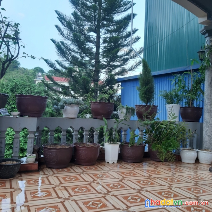 Chính chủ cần bán đất vị trí đẹp tại tỉnh sơn la