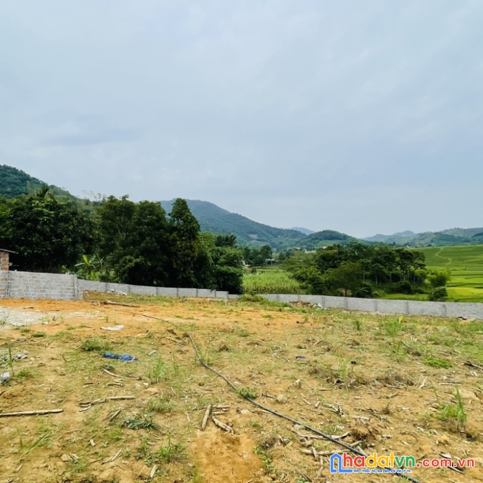 Bán 2000m đất tại hợp phong, cao phong, hòa bình. có 1550m thổ cư