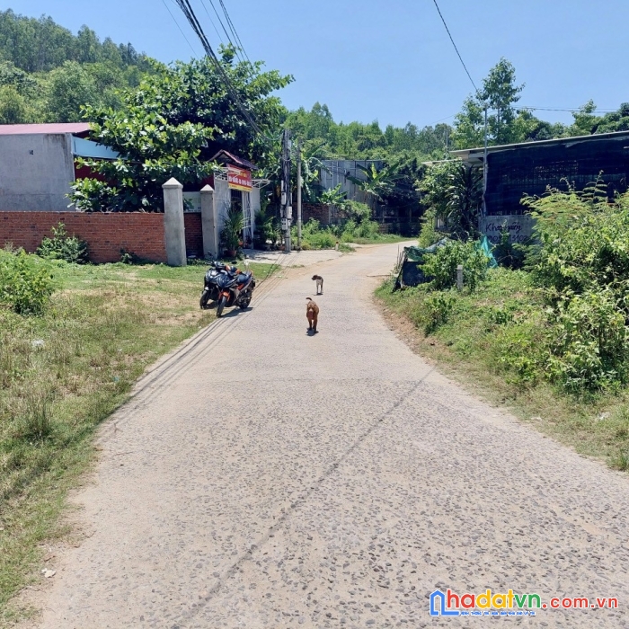 Bán 112 m đất - bao đầu tư sinh lợi nhuận-nha trang-0387870979 xem đất