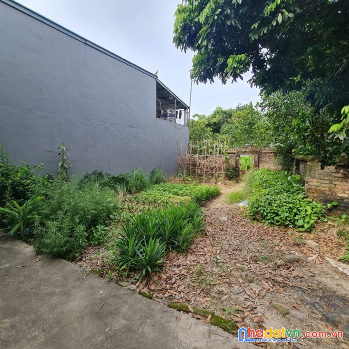 Hàng siêu rẻ, lô đất cực hiếm 60m2 khê nữ nguyên khê giá chỉ 1.35 tỷ