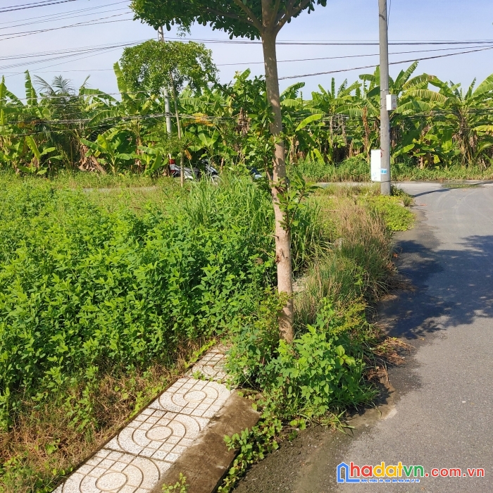 Bán lô mặt tiền đường 19/5 cần đước 172m2 giá chỉ 2tỷ