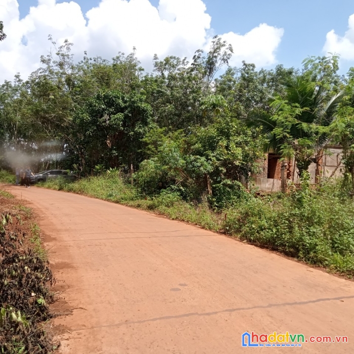 Cần bán nhanh lô đất cách ql14 khoảng 1km, bù đăng, bình phước.