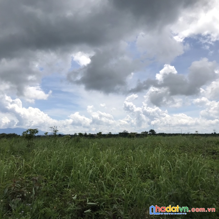 Bán đất di linh thượng, di linh 260tr /xào cách ql 28  tầm 2,5km, xe ôt vào tận nơi