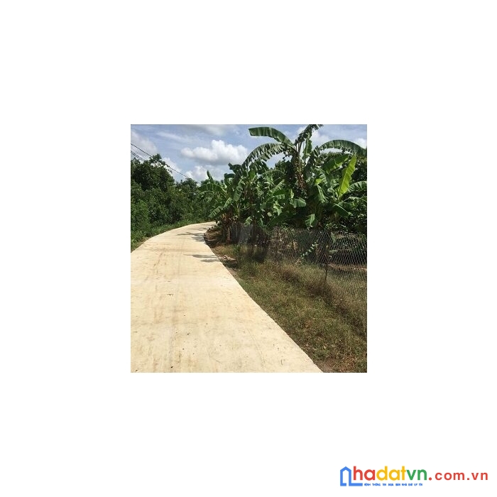 Cần bán 8 sào rẫy vườn trái cây tại huyện định quán, đồng nai