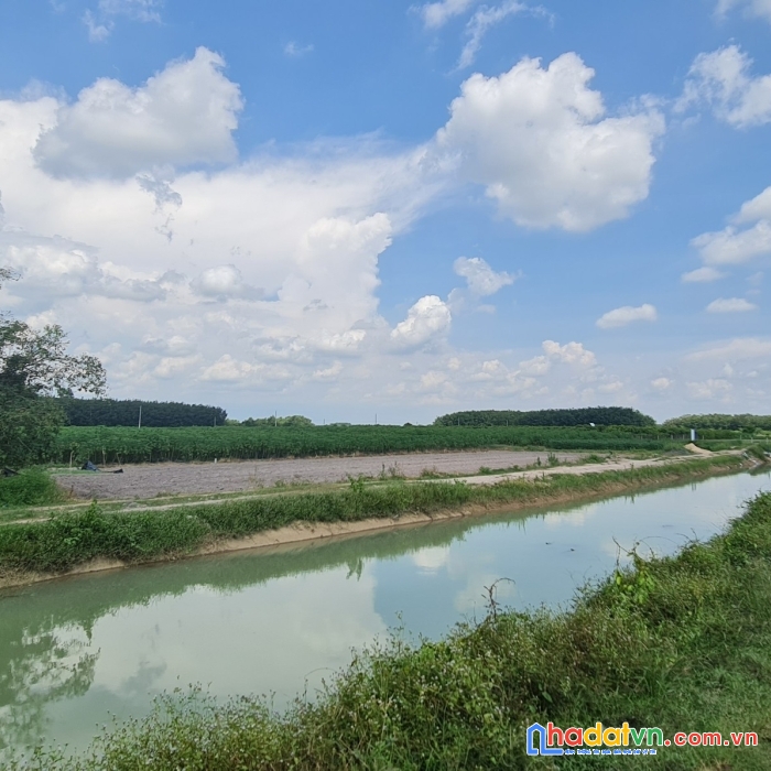 304m2 ở gia lộc trảng bàng giá siêu rẻ chỉ 660tr