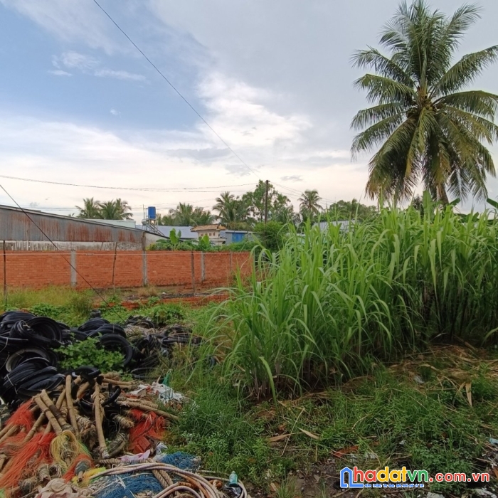 Cần bán nền mt ấp vĩnh thành a, xã vĩnh hòa hiệp, châu thành, kg (lộ xe hơi). 133