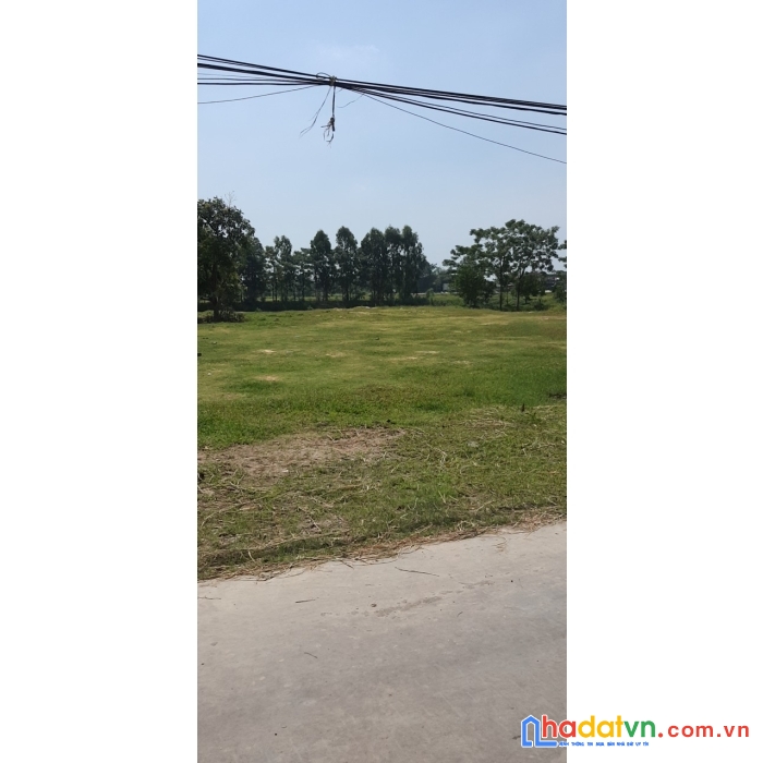 Cần bán 2 lô đất liền kề 06 và 07 vị trí đẹp tại: xuân hoà, hương mai ,việt yên, bắc giang