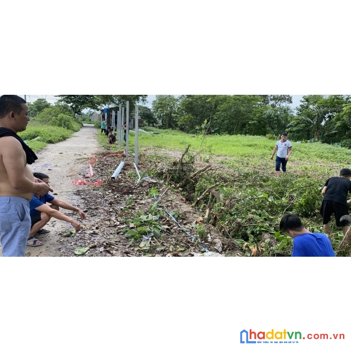 Bán dự án trang trại chăn nuôi lợn duy nhất sát hà nội địa điểm đẹp cho trang trại nghỉ dưỡng