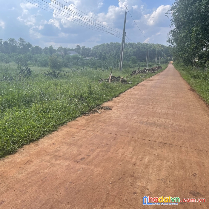 Chính chủ cần bán lô đất 265m2 tại nghĩa trung-bù đăng- bình phước