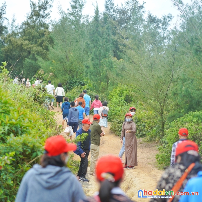 Cc bán mảnh đất ngay cảng cách 100m vào tt cô tô, kinh doanh vô cùng thích hợp