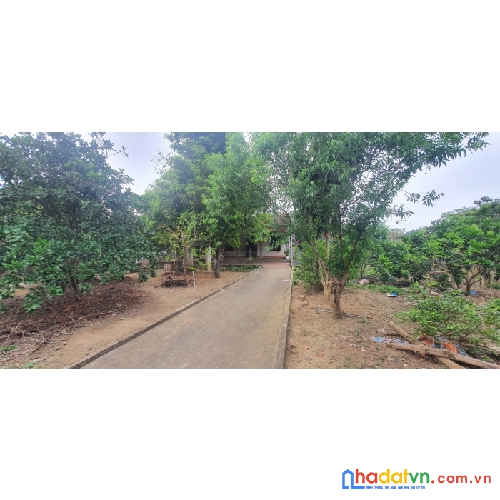 Sở hữu ngay lô đất đẹp tặng nhà vị trí đắc địa tại phố sao đỏ, thị trấn thống nhất, huyện yên