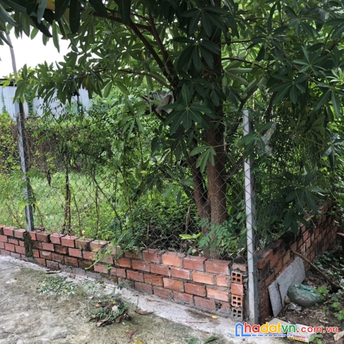 Đất vuông vứt hẻm 520 quốc lộ 13 sát vạn phúc city ngag 7.5m 214m2 giá 7.8 tỷ