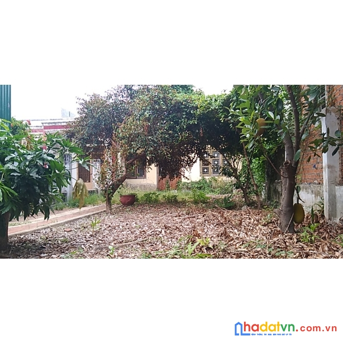 Chính chủ cần bán lô đất ngay trung tâm tp phan rang-tháp chàm (không vướng tranh chấp, quy hoạch)