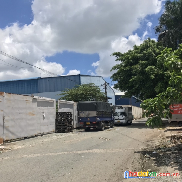 Cần cho thuê nhà xưởng vị trí đẹp tại hóc môn, tp hcm