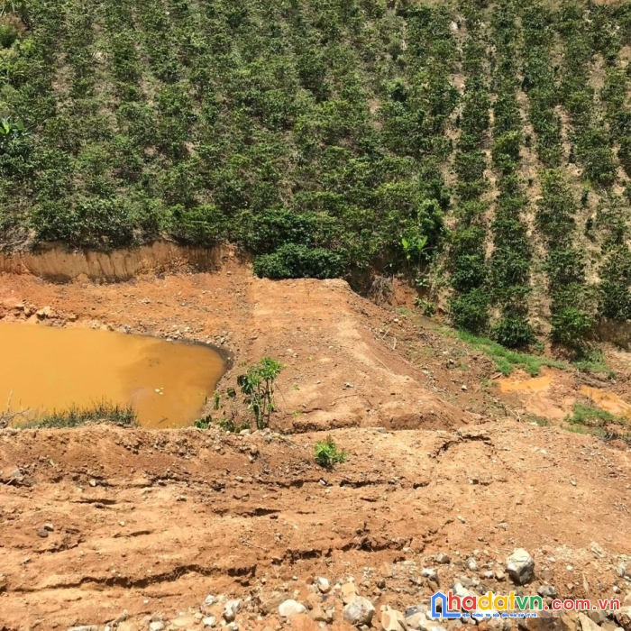 Sở hữu ngay lô đất đẹp vị trí đắc địa tại đức trọng, lâm đồng