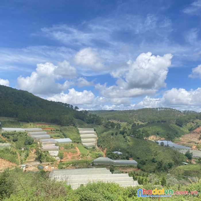 Kẹt tiền bán nhanh lô đất biệt lập view siêu đẹp, giá rẻ nhất khu vực, p7, đà lạt chỉ 23tr/m2