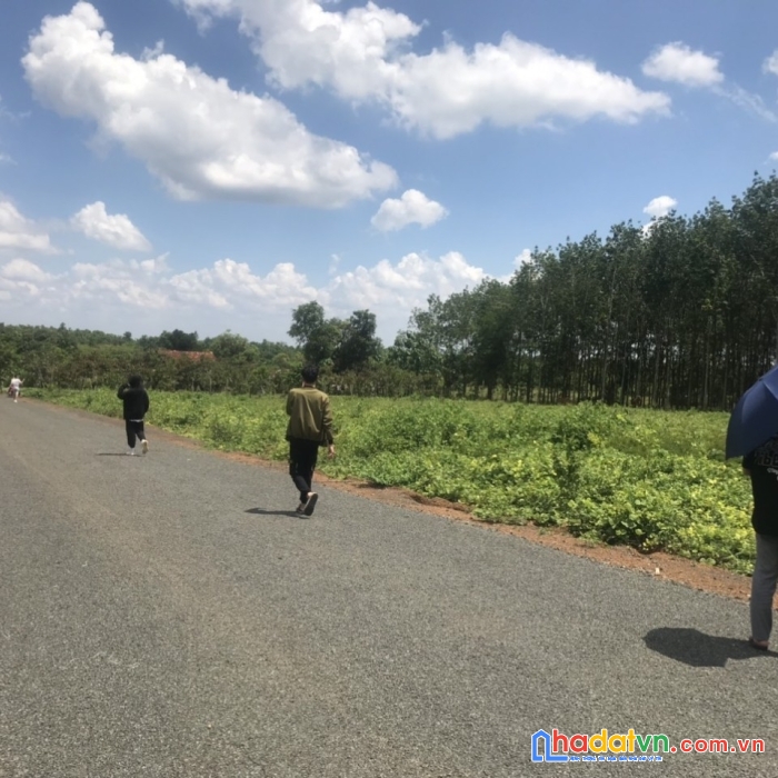 Đất bình phước giá đầu tư, sổ hồng sẵn từng nền chỉ 400tr