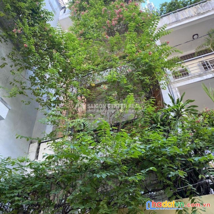 Bán chdv hẻm lê thị riêng q1, 4.7x19m 8pn giá 18.5 tỷ