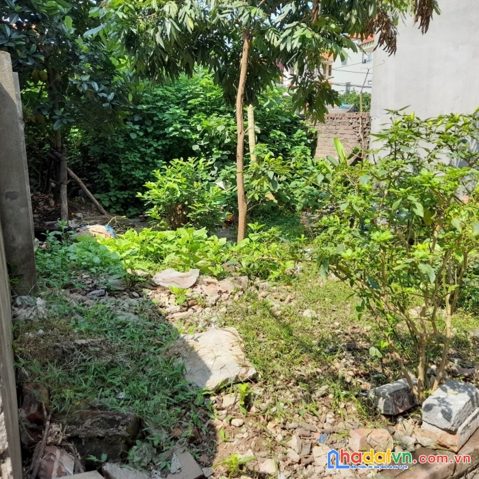 Hiếm bán đất bắc từ liêm lô góc chia 2 lô vô tư ô tô đỗ cửa dt 82m2 mt 6.2m giá 5.2 tỷ