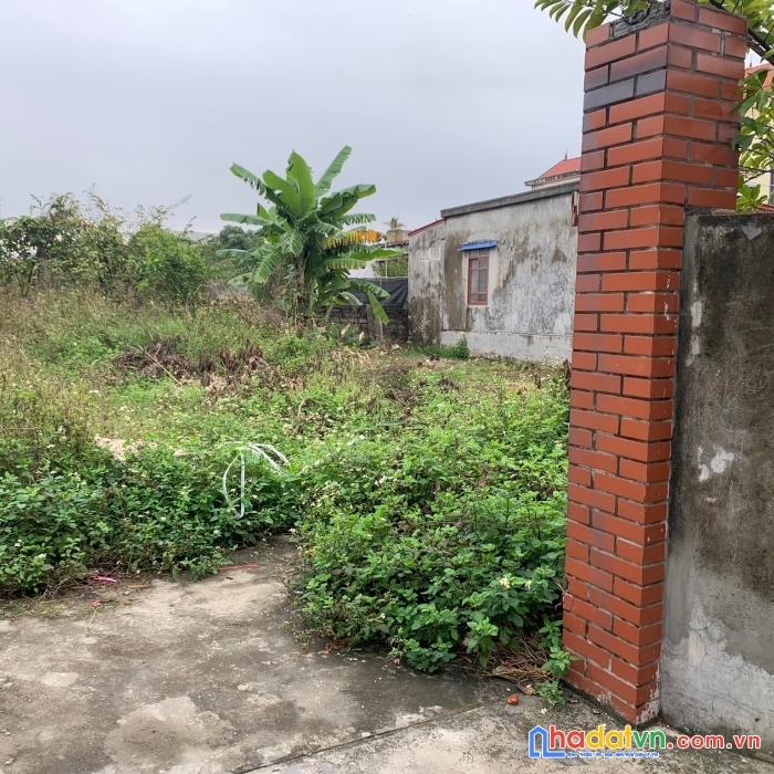 Nhà vườn 2005m2 ngay đường phạm văn đồng hòa nghĩa dương kinh hải phòng.