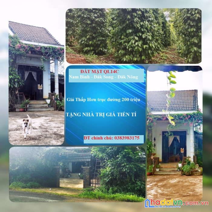Chính chủ bán đất mặt đường ql 14c