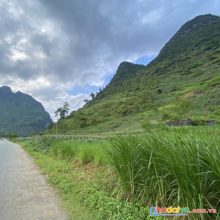 Bán gấp 900m2 đất tại cán tỷ - quản bạ - hà giang