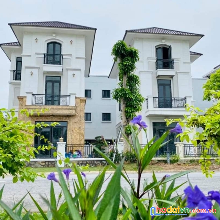 Bán biệt thự đơn lập cực đẹp