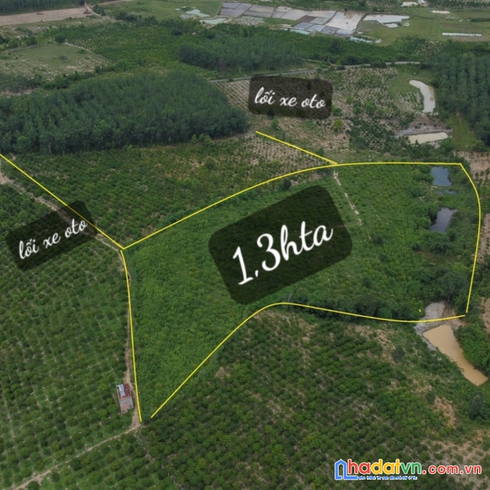 Chính chủ cần tiền bán gấp lô đất rãy 2 đường ô tô tại xã đắk la - đắk hà