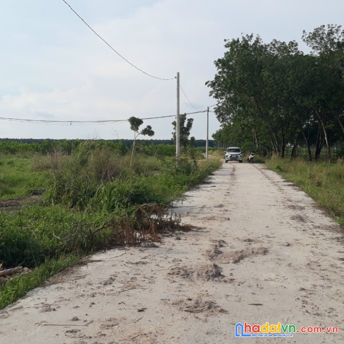 Chính chủ bán đất đường vành đai kcn minh hưng 3, tt chơn thành (chuẩn bị lên thị xã), bình phước.