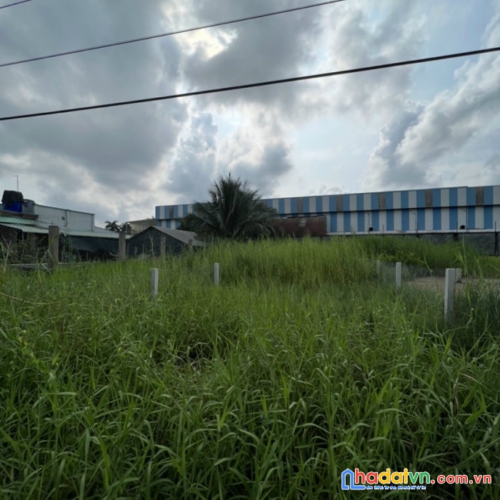 Bán đất cần giuộc chính chủ diện tích 5*34m