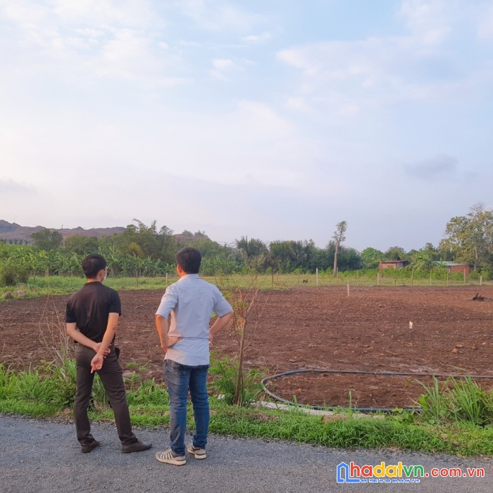 Chính chủ cần bán gấp lô đất siêu đẹp vị trí tại châu đức -brvt