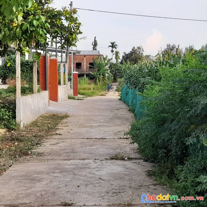 Siêu phẩm 300m2 ngang 10m đường qh 15m gần chợ hà mật và đt 610b liên hệ: 0366672346