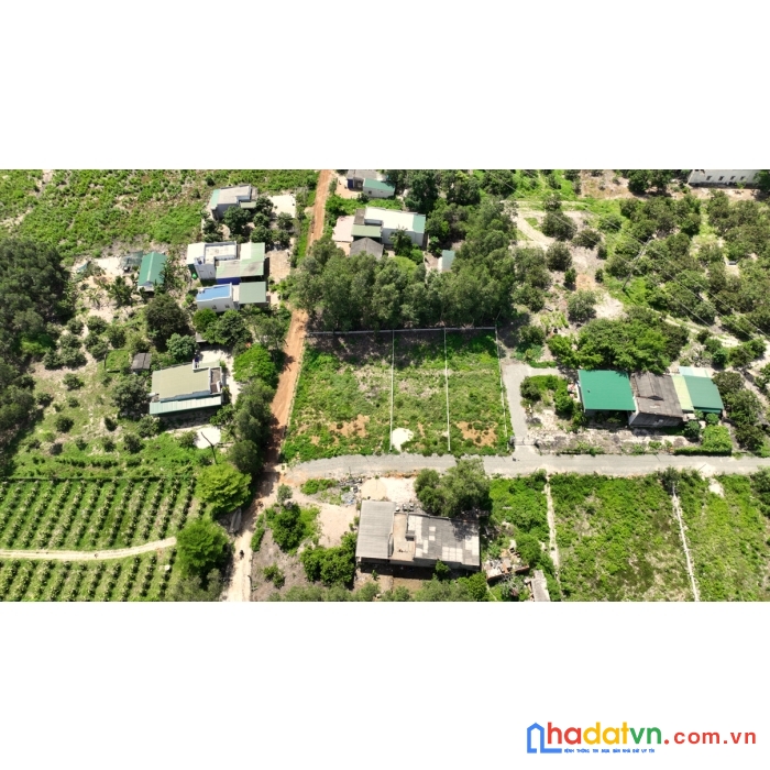 Bán đất 2 mặt tiền 45x30m giáp becamex-vsip sơn mỹ, thôn 1, 100m2 thổ. giá chỉ 145tr/m