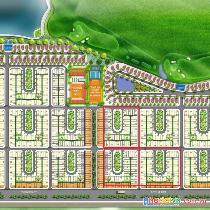 Sỡ hữu giỏ hàng độc quyền kn paragrus - kn paradise