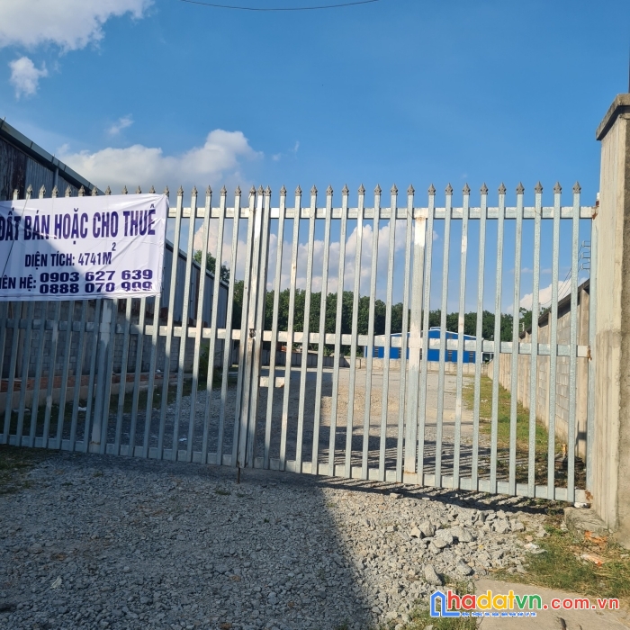 Chính chủ cần cho thuê đất vị trí đẹp tại bình dương