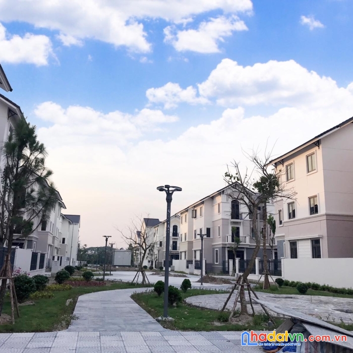 Chính chủ bán 1 cặp song lập 270m2