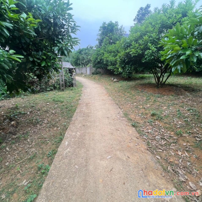 Bán đất dt 727m2 có 200 tc giá chỉ 5xx triệu tân lạc - hòa bình