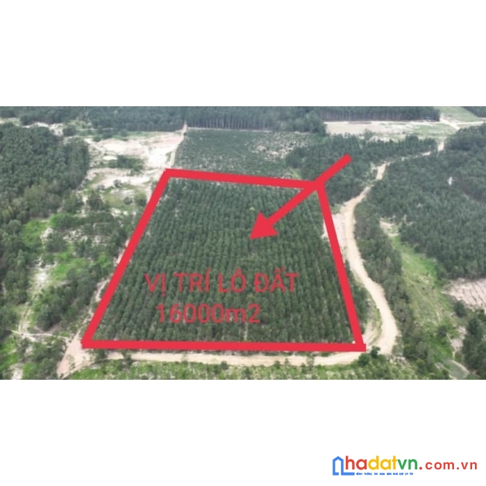 Bán gấp lô đất 2 mặt tiền nằm trên trục đường tân minh sơn mỹ hàm tân bình thuận